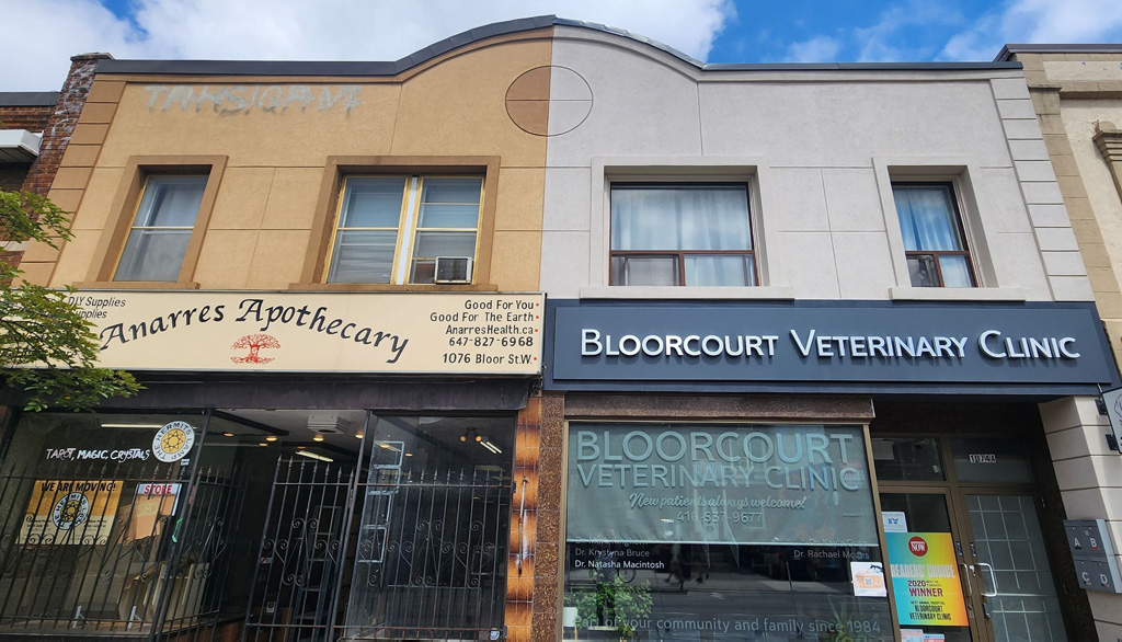 commercial painting contractors near me